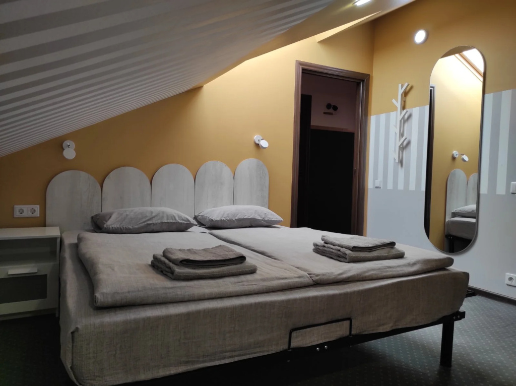 Mini-Hotel Makarov Room Type - Standard Double Attic room full double bed