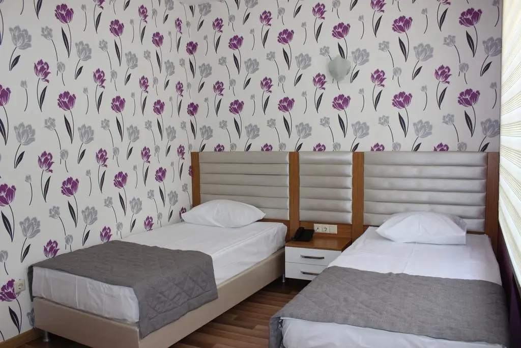 Standard Double room (twin beds)