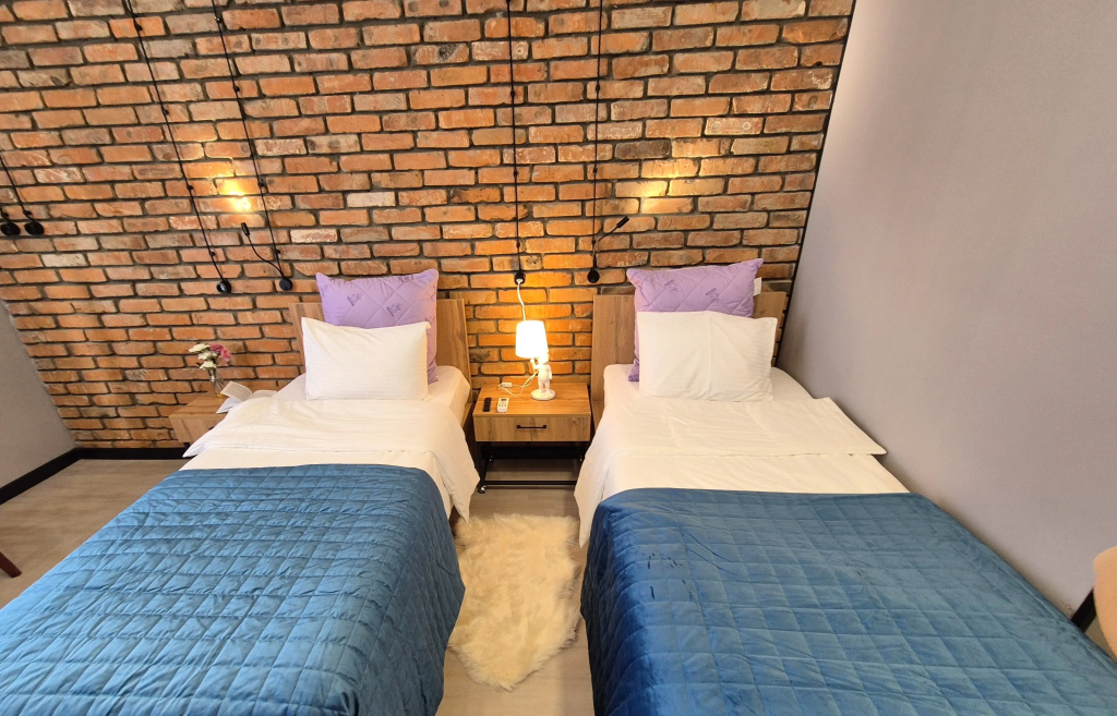 Standard Double room with city view (twin beds)