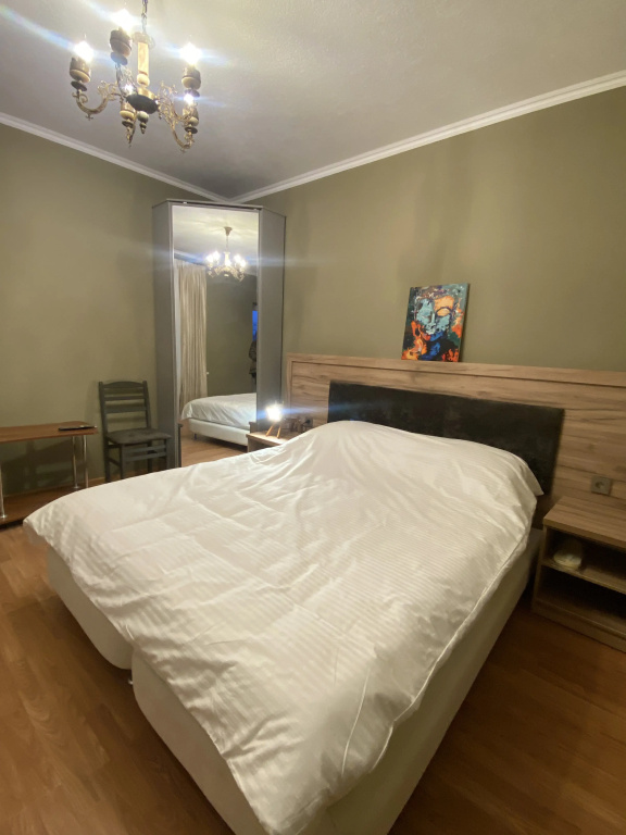 Standard Double room with balcony and with mountain view (full double bed)
