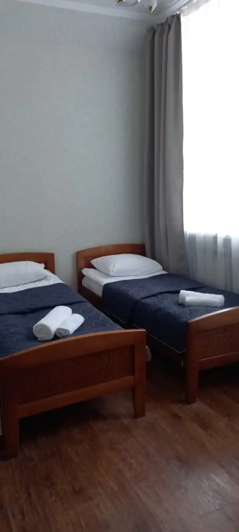 Comfort Double room (twin beds)