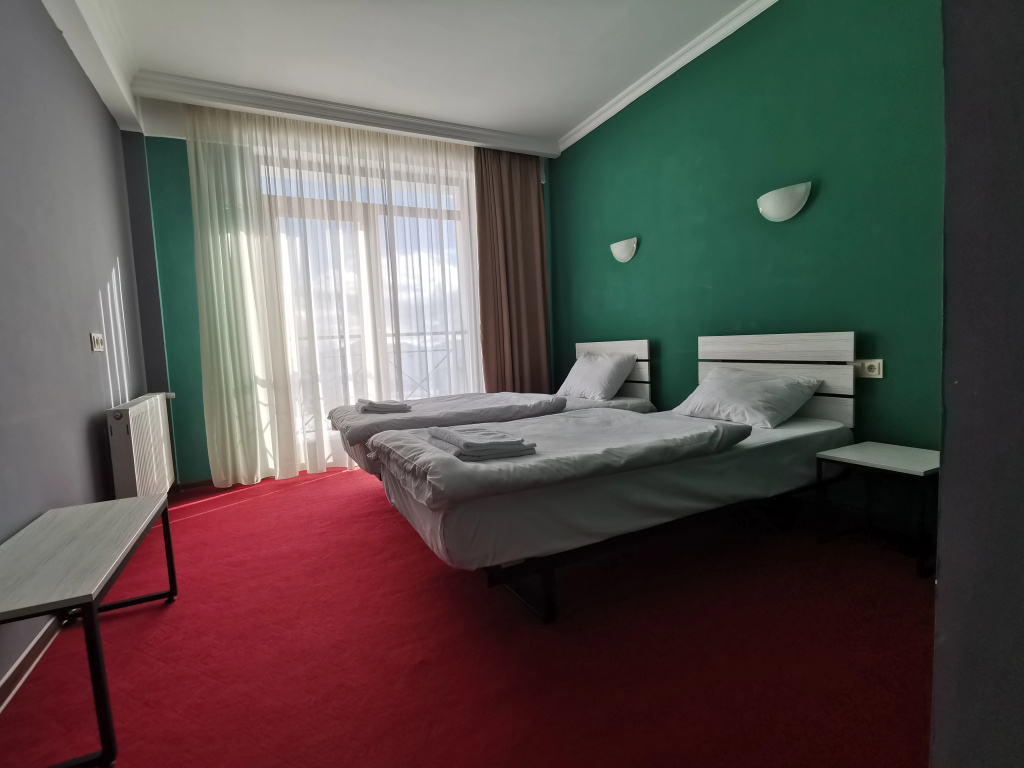 Standard Double room (twin beds)