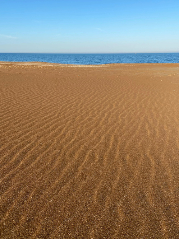 Beach & Waterfront