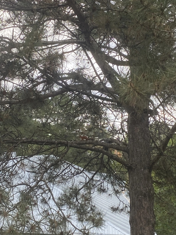 Квартира Комфорт - фото 16