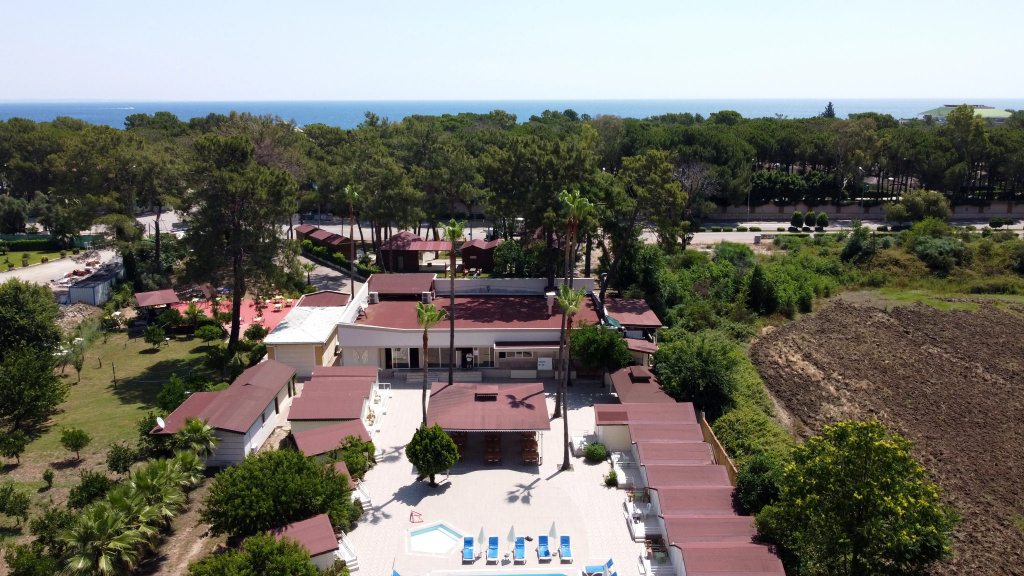 Hotel photo 12