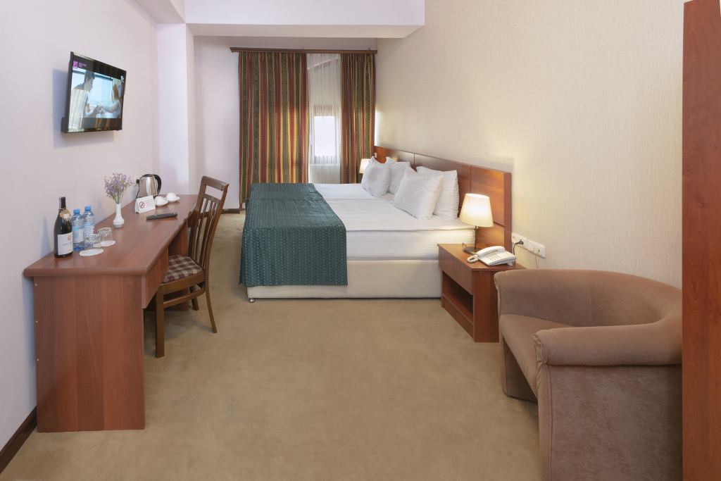 Ani Central Inn Hotel - Chambres