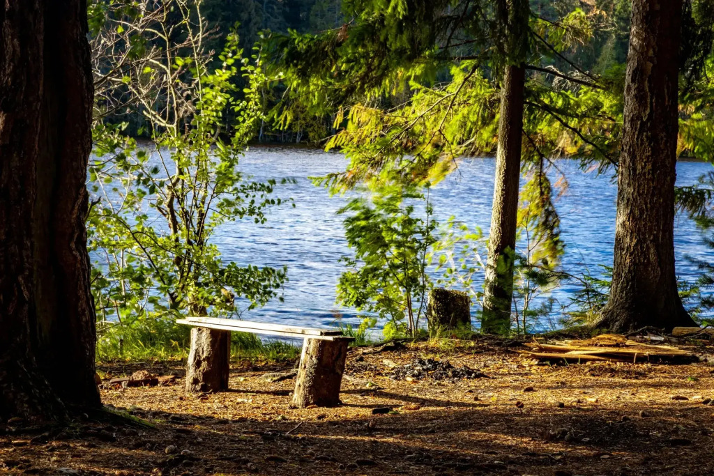 База отдыха Лавалла Хутор - фото 2