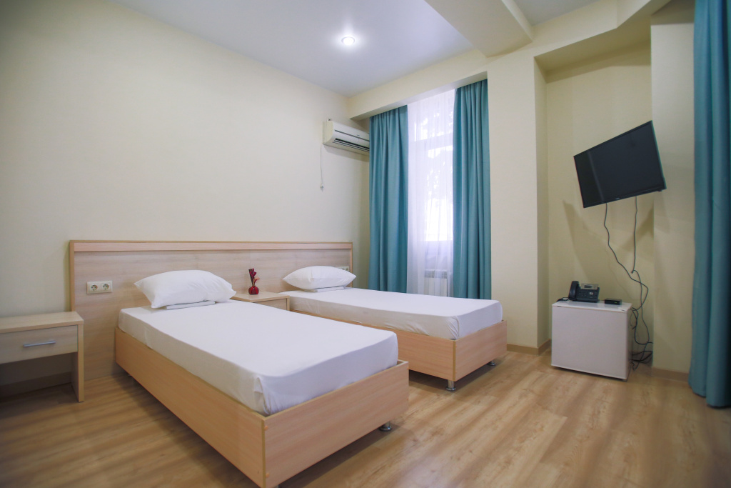 Standard Superior Double room (twin beds)