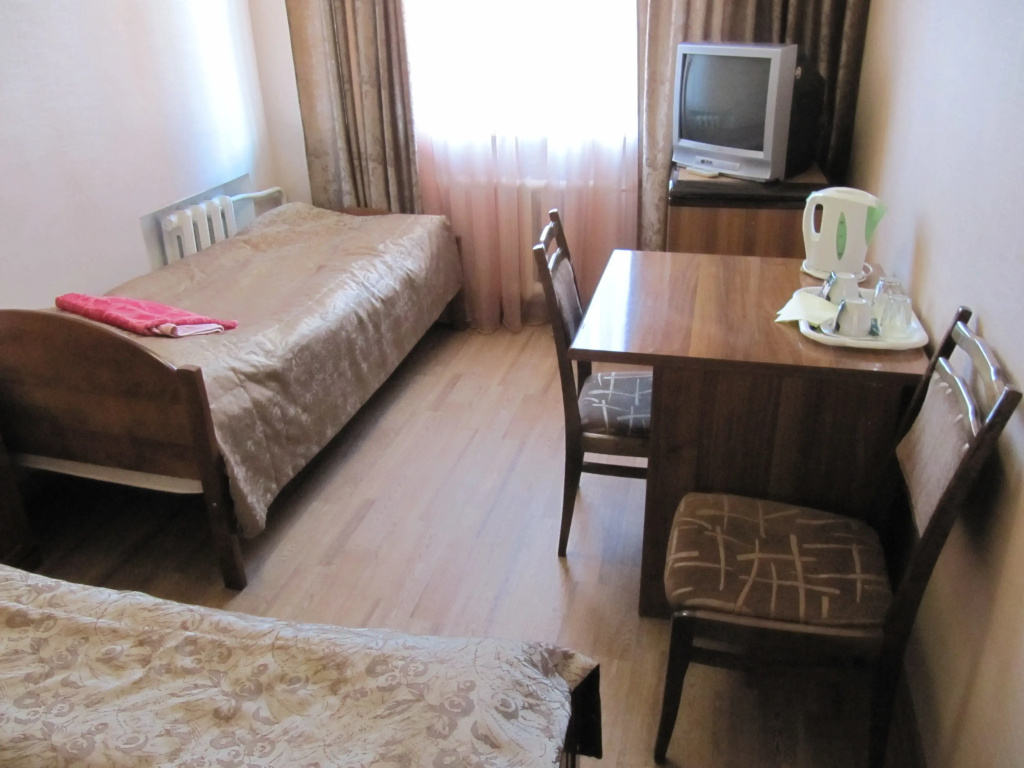 Standard Double room (twin beds)