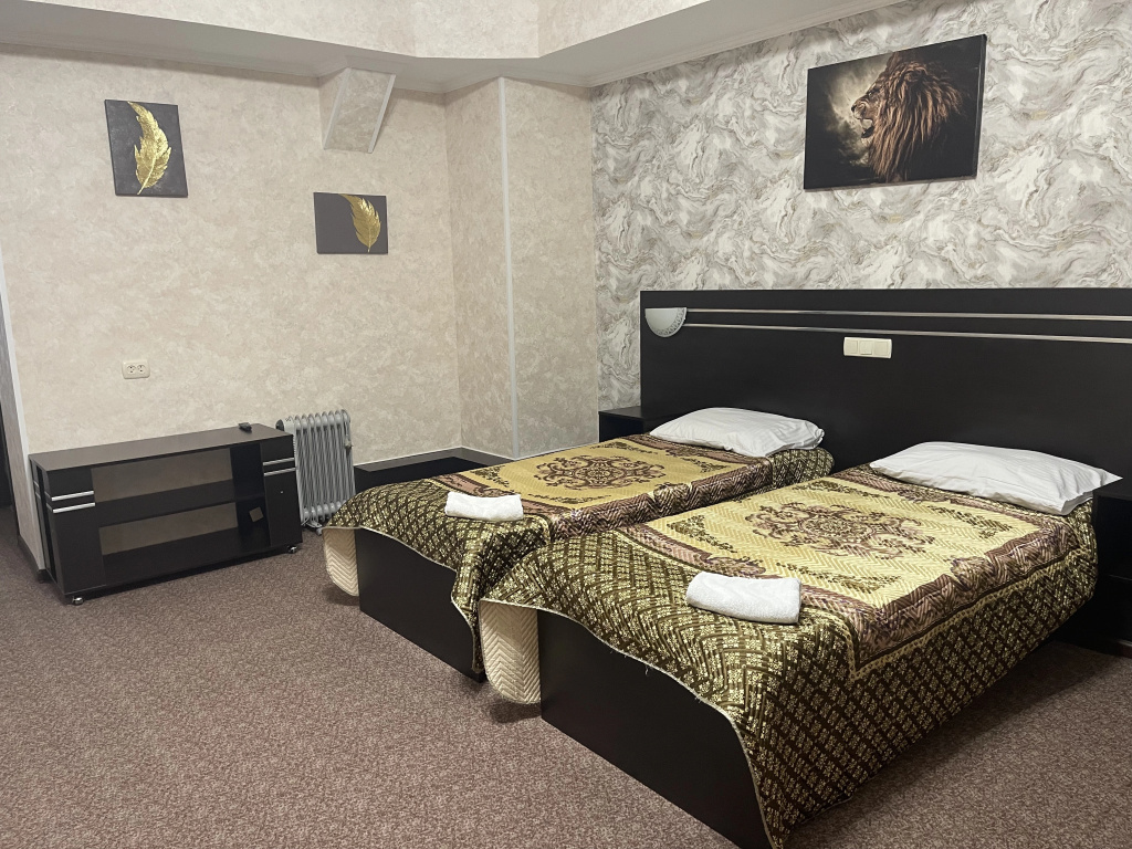 Superior Double room (twin beds)