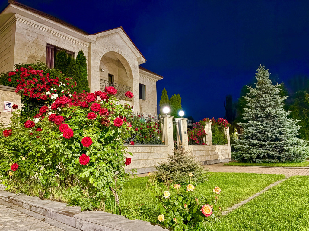 Luxury Villa