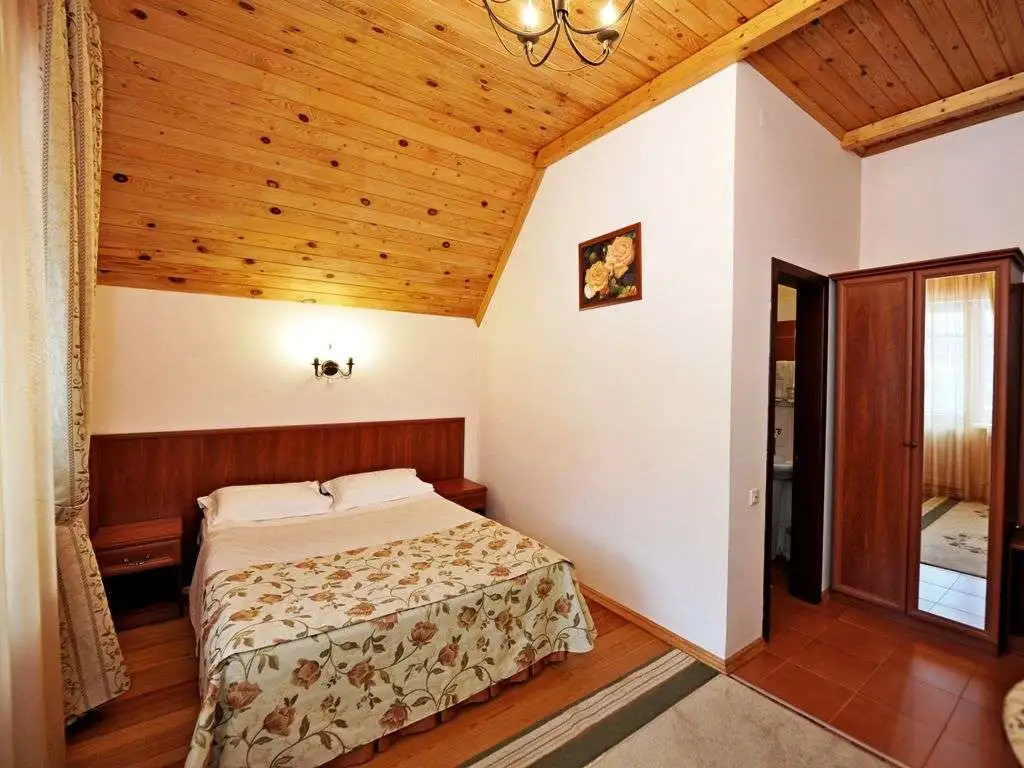 1-room Standard Double room with balcony and with view (full double bed)