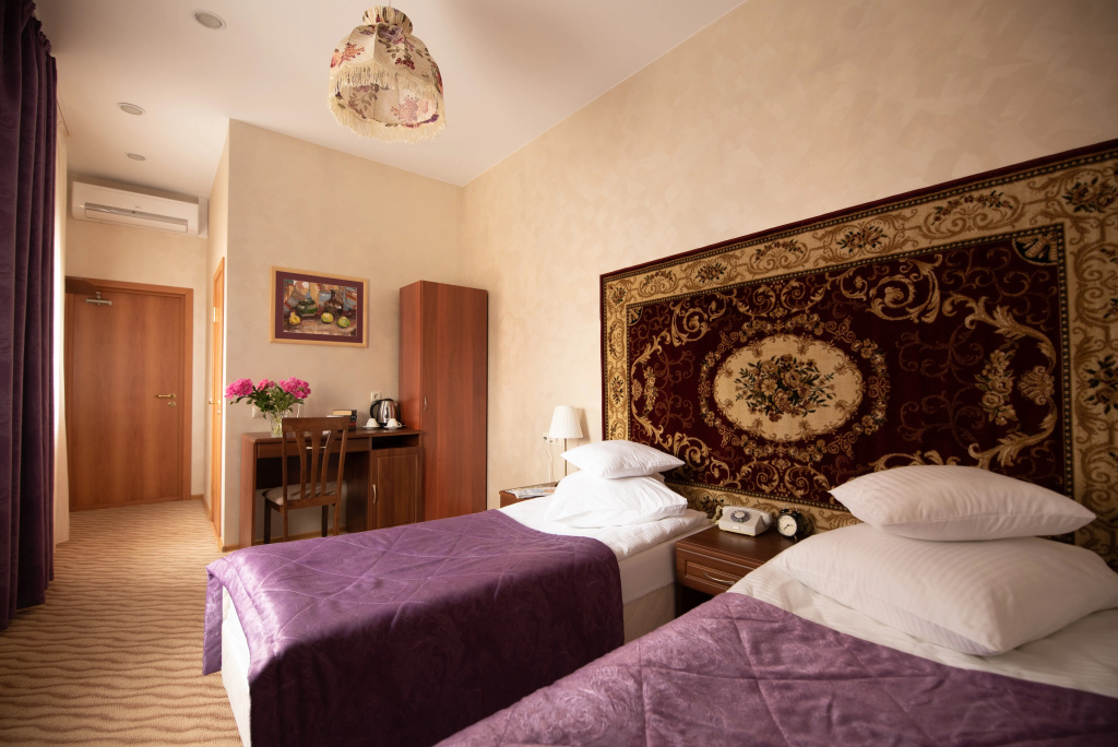 Standard Double room with view (twin beds)