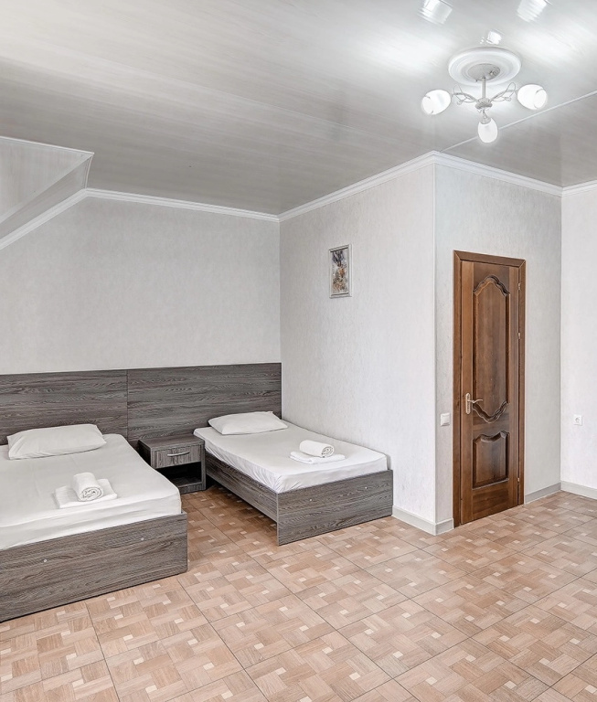 Economy Double room (twin beds)