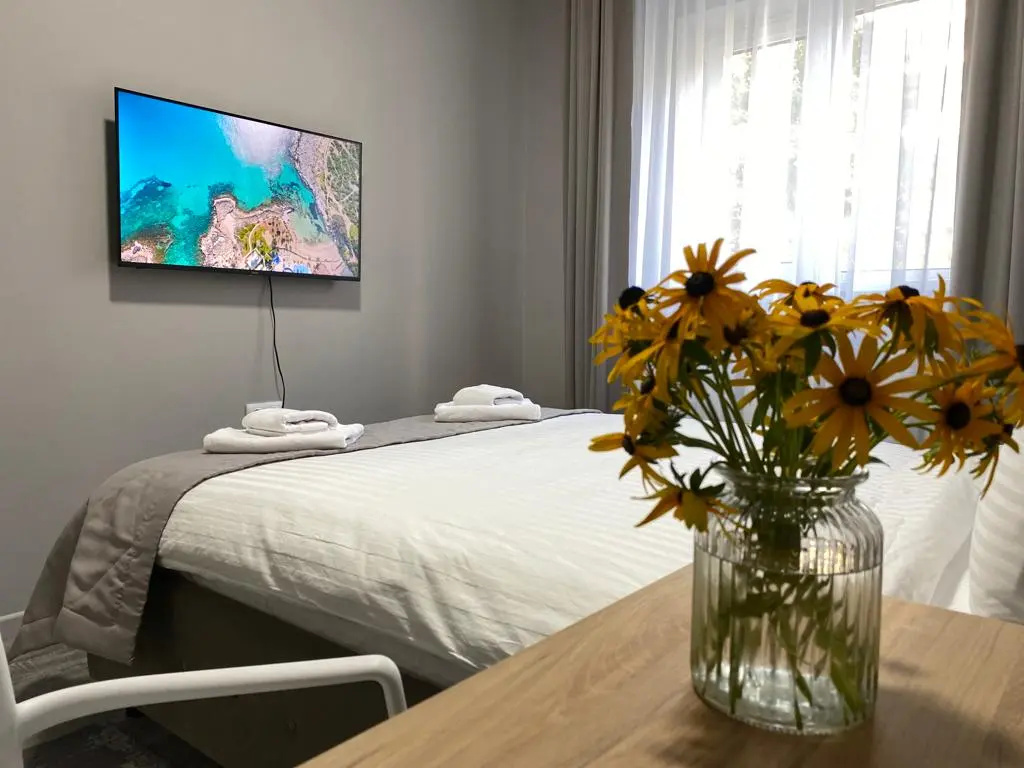Standard Double room (full double bed)