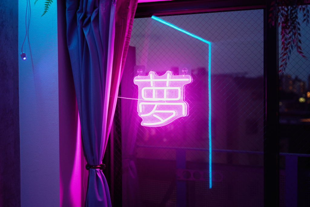 Cyber Tokyo Sinjyuku Apartments 사진 12