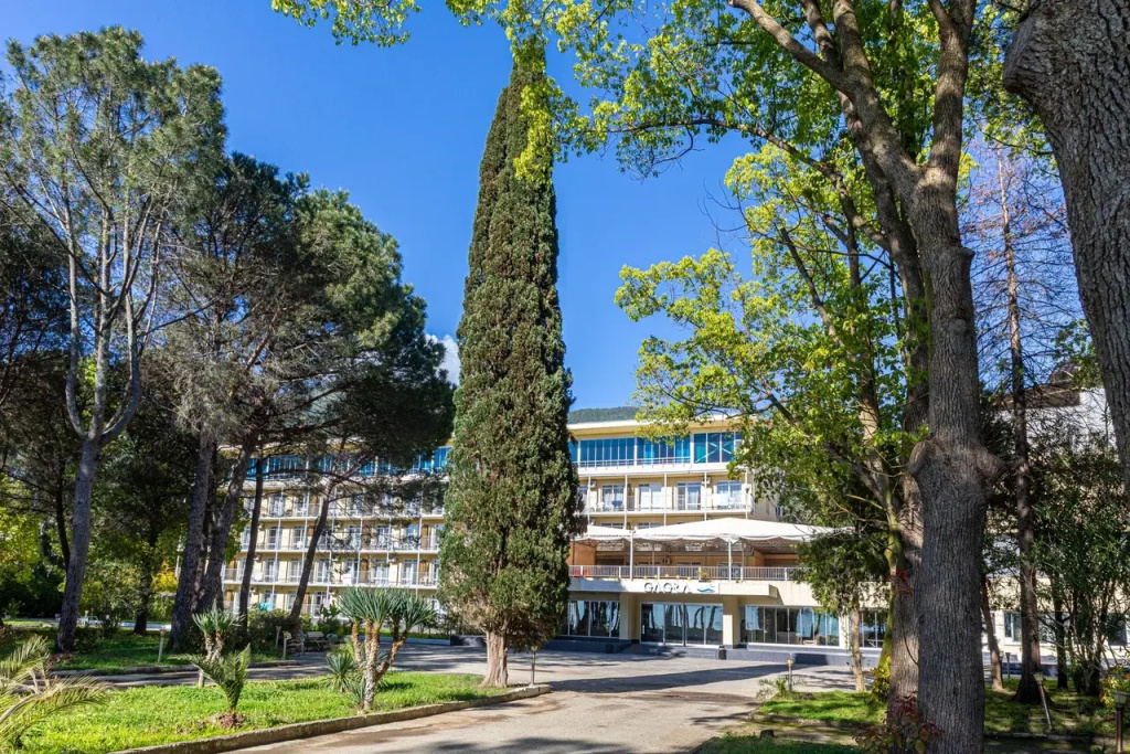 Wellness Hotel - Général