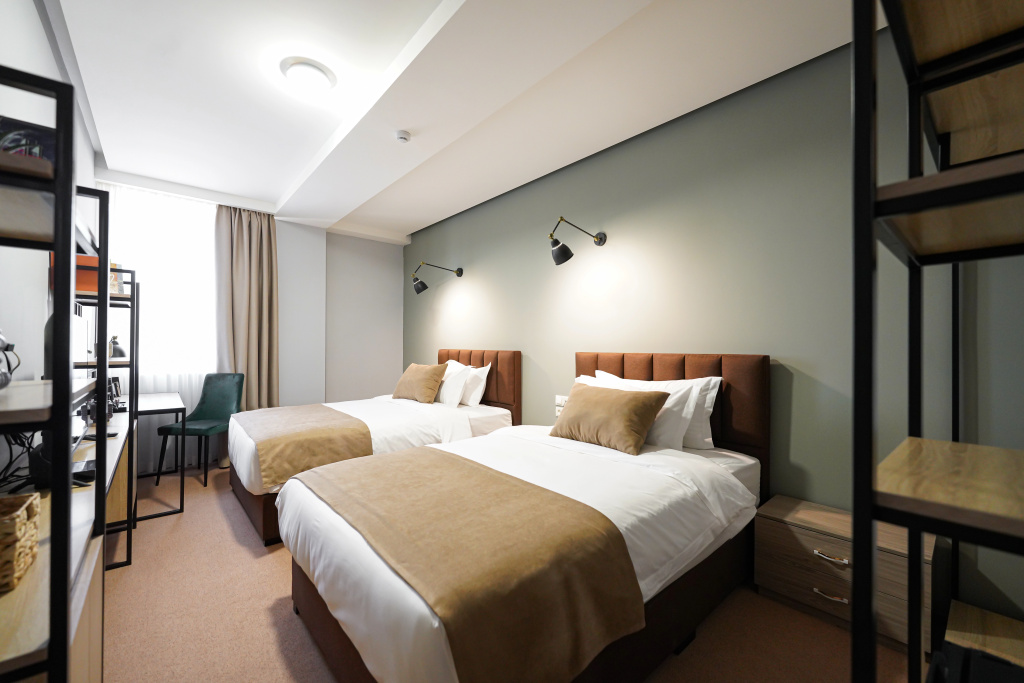 Deluxe Double room with city view (twin beds)