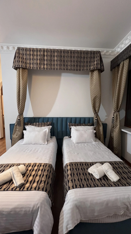 Standard Double room with mountain view (twin beds)