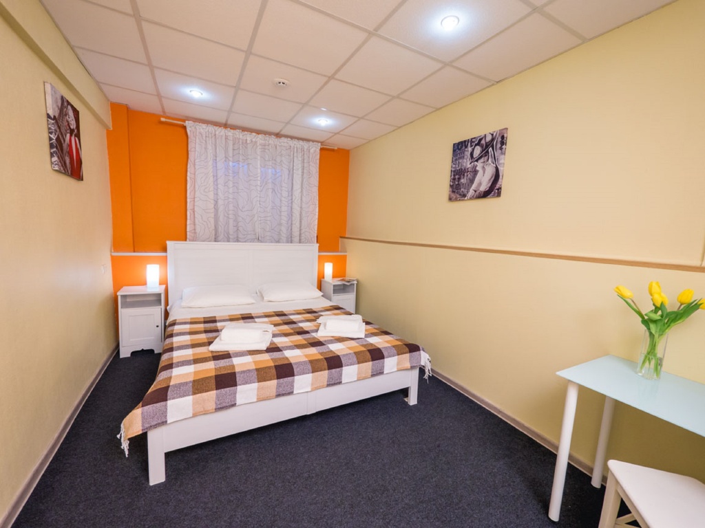 Izmailovsky Mini-Hotel Room Type - Comfort Double room full double bed