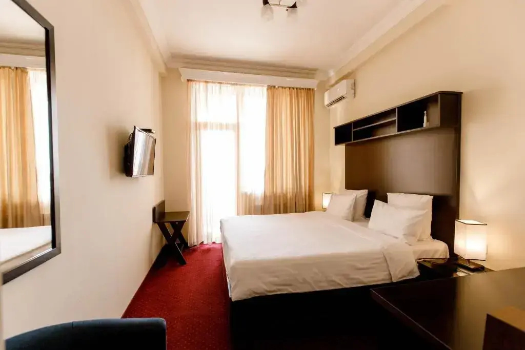 Standard Double room with mountain view (full double bed)