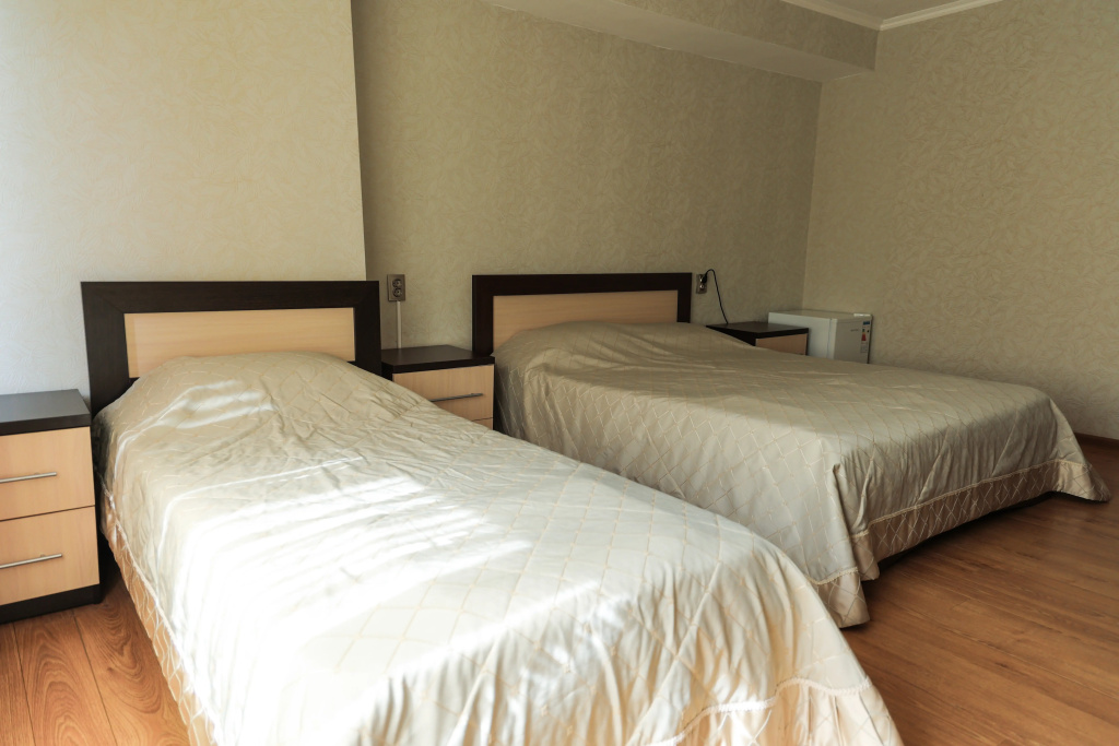 Pushkinskij Hotel Room Type - Standard Triple Family room