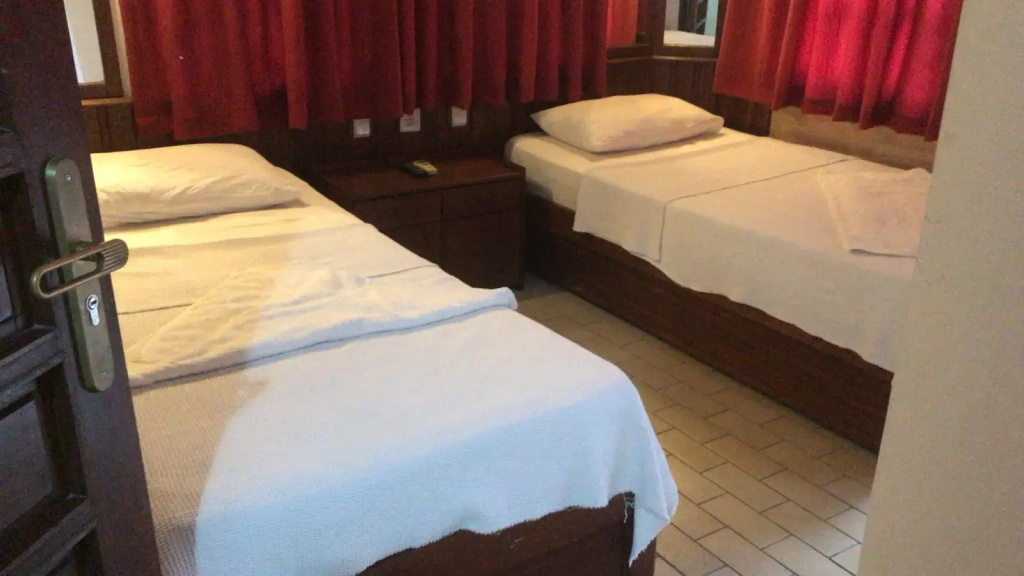 Standard Double room with balcony and with park view (twin beds)