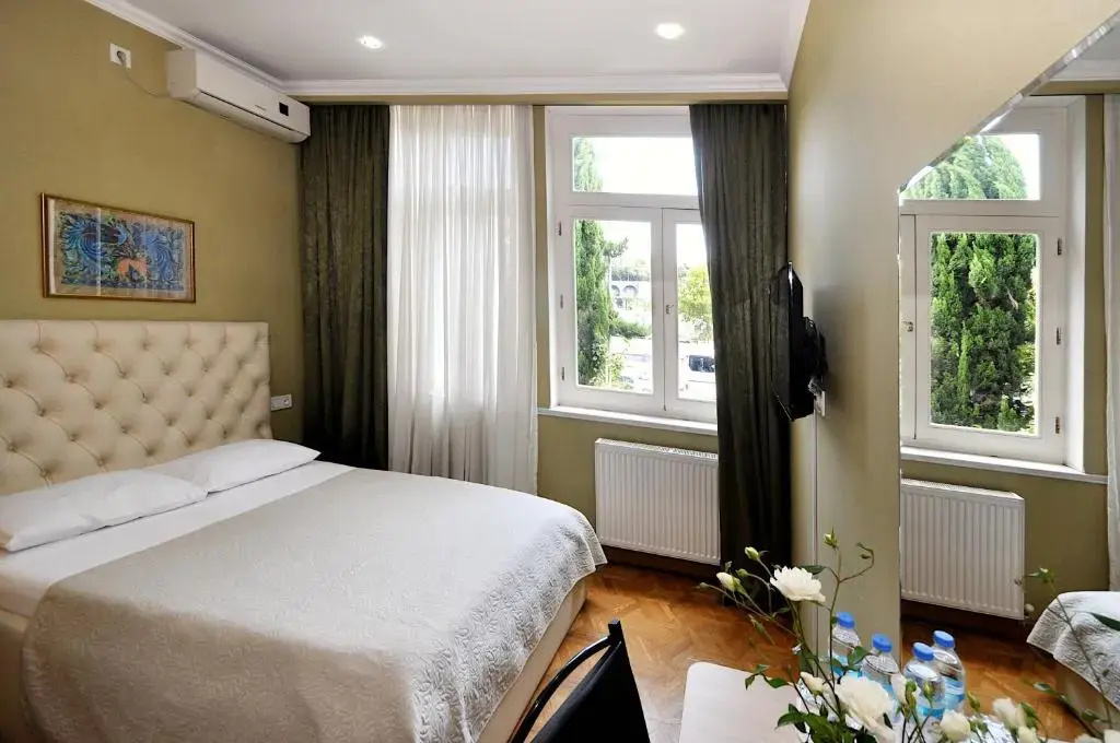Standard Double room with view (full double bed)
