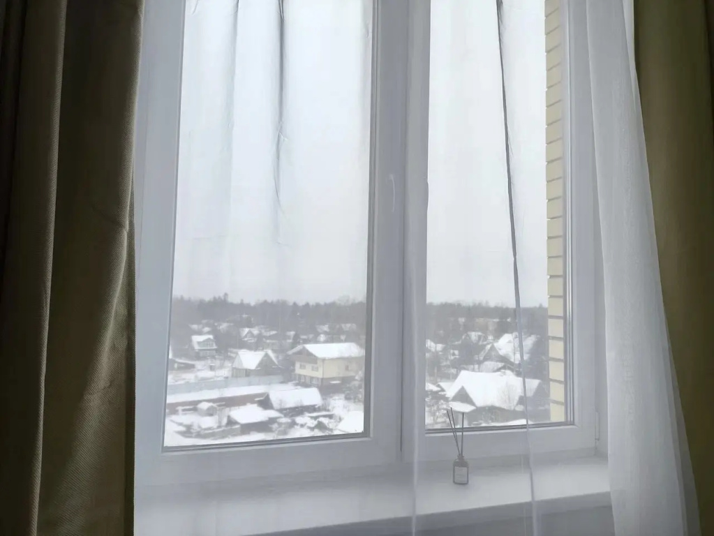 Отель Квартира у онкоцентра в Песочном в Песочные