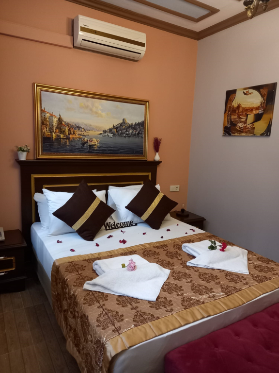 Двухместный номер Economy двуспальная кровать в Отель Emirhan inn