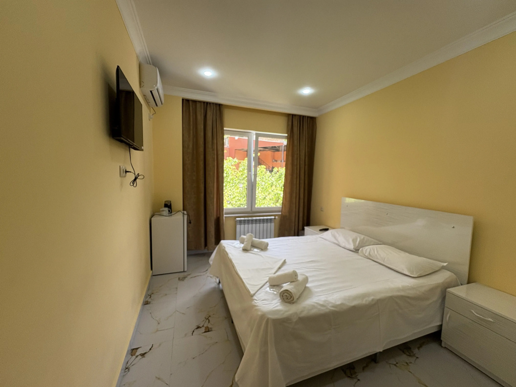 Standard Double room with view (full double bed)