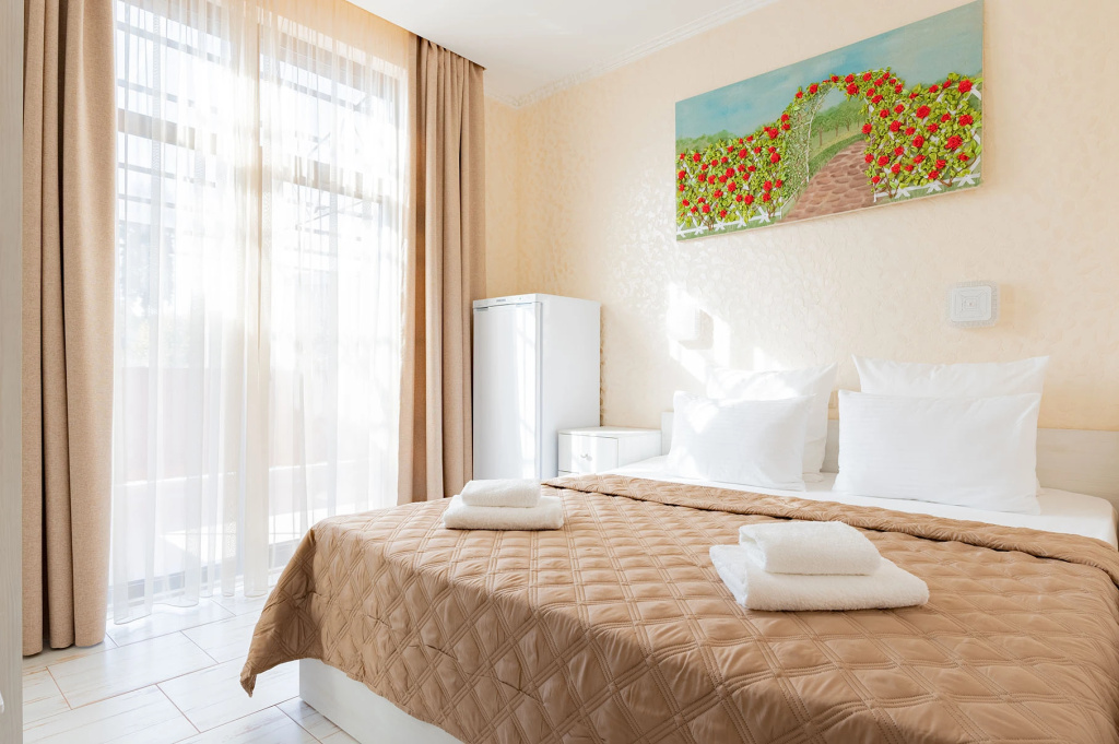 Vals Tsvetov Hotel Room Type - Deluxe Terrace Double room with mountain view twin beds