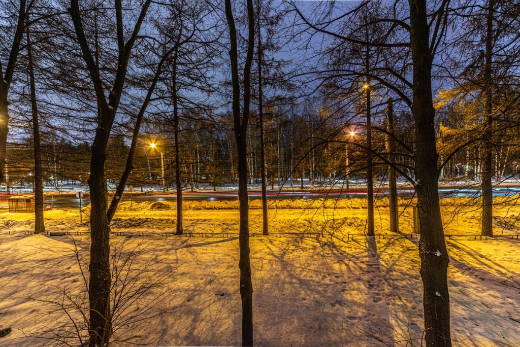 Светлановский пруд. Светлановский парк. Светлановский парк. Светлановский парк. Жк svetlana park.