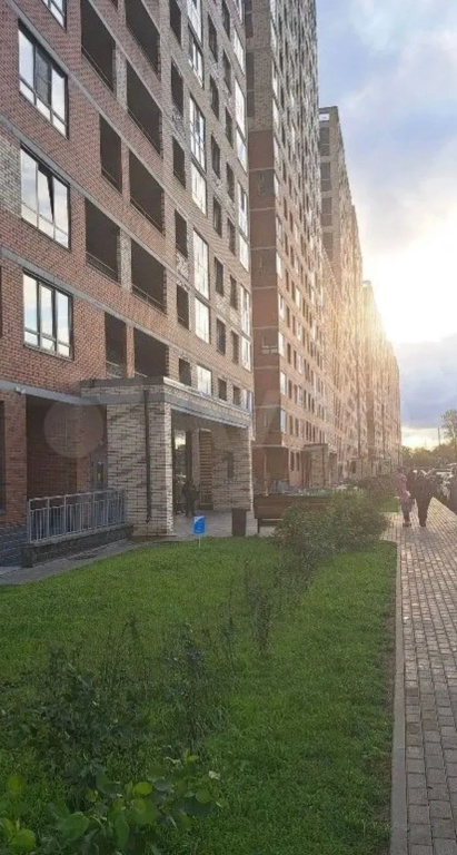 Квартира На Елизаровском — фото