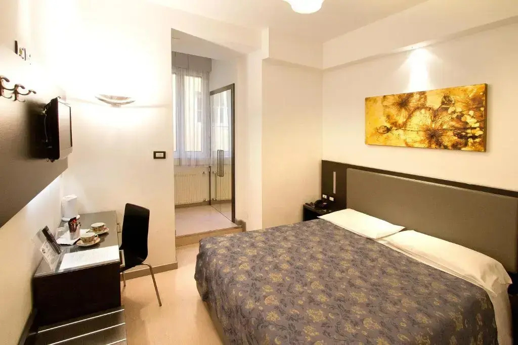 Standard Double room with city view (full double bed)