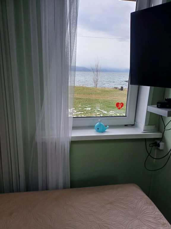 Standard Double room with lake view (twin beds)