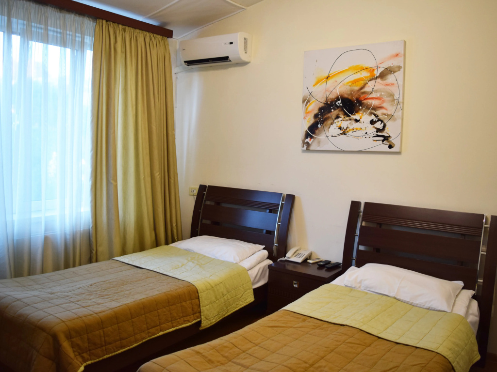 Standard Double room (twin beds)