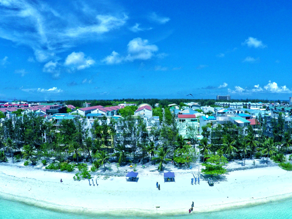 Planktons Beach by null