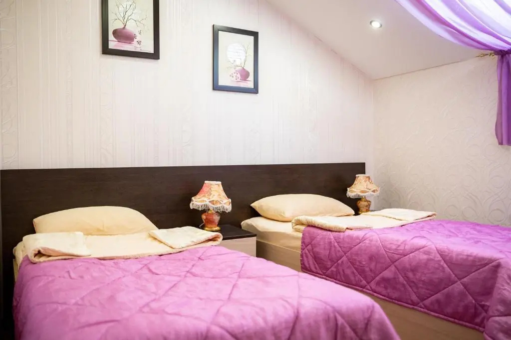 Economy Double Attic room (twin beds)