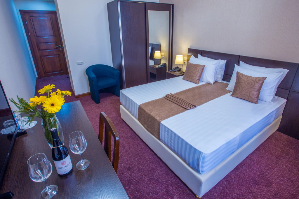 Ani Central Inn Hotel - Chambres