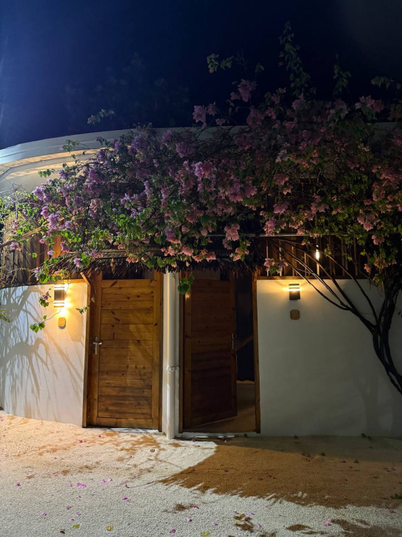 Island Serenity Guest house Dhiffushi — о. Діффуші, Мальдіви мініатюра 13