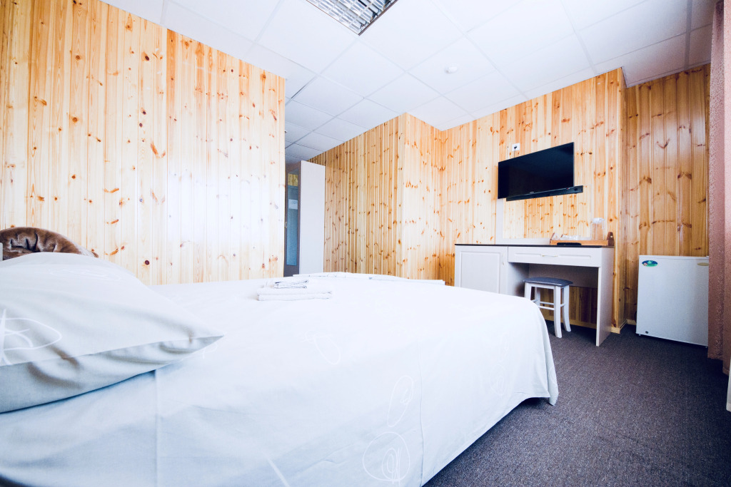 Отель Сибирь - фото 10