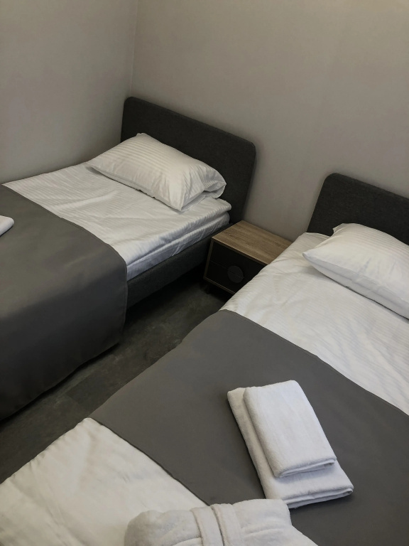 Standard Double room (twin beds)