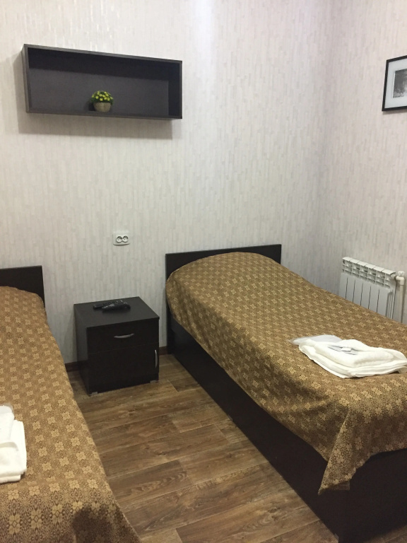 Economy Double room (twin beds)