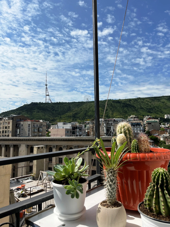 Uyutnye Apartamenty s Panoramnym Vidom v Tsentre Tbilisi Apartments