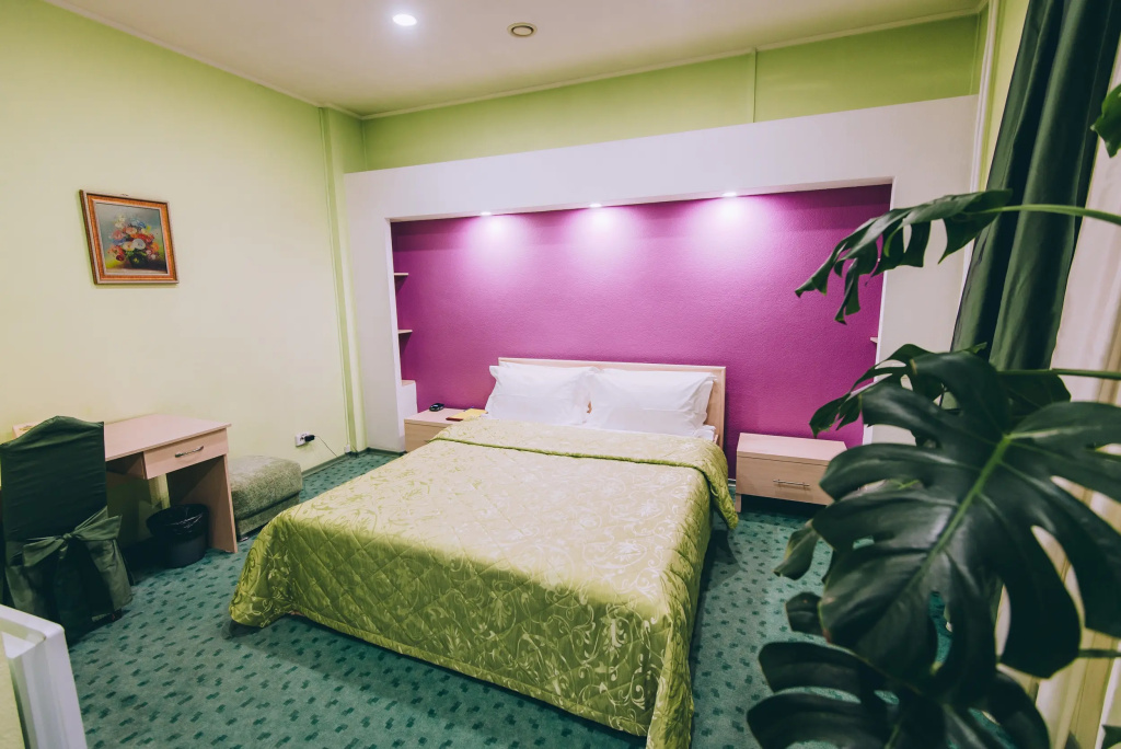 Aleksandr Haus Hotel Room Type - Double Junior Suite with city view full double bed