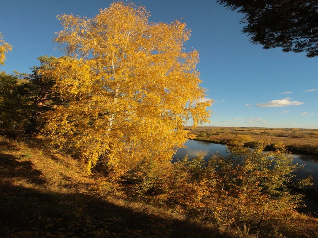 Гостиничный комплекс-музей Дом Пионеров - фото 23