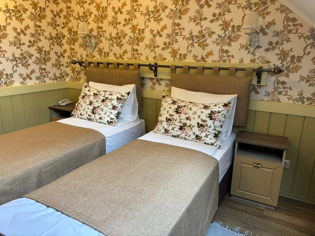 Двухместный номер Standard 2 отдельные кровати в Лесная поляна