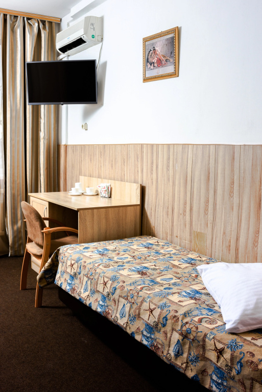 Pyatyj Element Hotel Room Type - Economy Double room full double bed