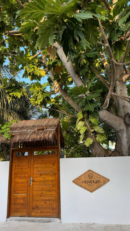 Island Serenity Guest house Dhiffushi — о. Діффуші, Мальдіви мініатюра 24